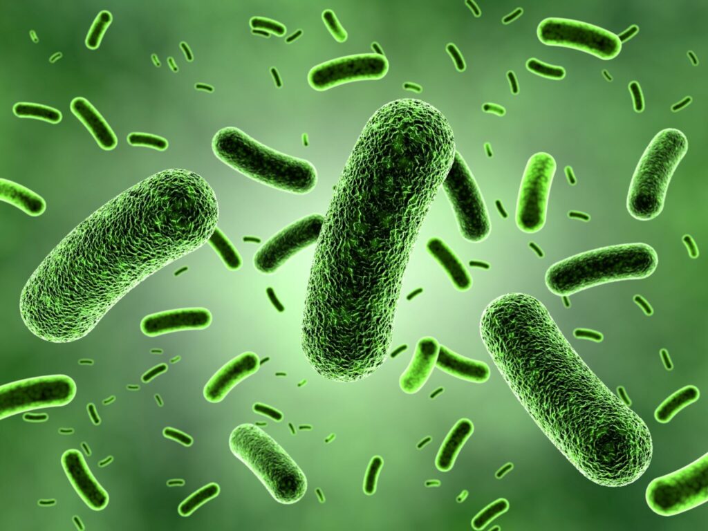 Troutman Smiles | Bacteria Bonanza: How Many Germs Are In My Mouth? Troutman Smiles | Bacteria Bonanza: How Many Germs Are In My Mouth?