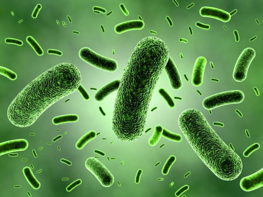 Troutman Smiles | Bacteria Bonanza: How Many Germs Are In My Mouth? Troutman Smiles | Bacteria Bonanza: How Many Germs Are In My Mouth?